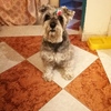 profile_ginnet