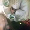 profile_NATHALIA
