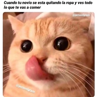 Lis