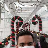 Wilman