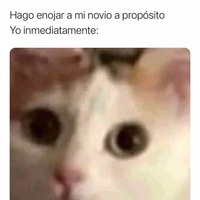 Meliza Fernanda