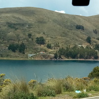 Wilford 