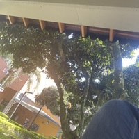 Juan