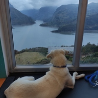 Rocío