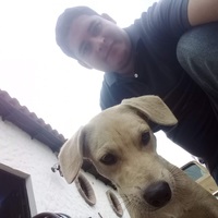 Leonel D