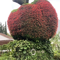 Óscar 