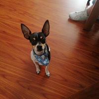 Sergio 