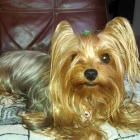 Leisa 