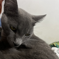 Camilo
