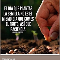 Andrea