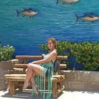 Katalina