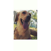 ricardo andres