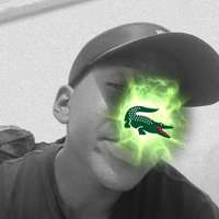 Yair 
