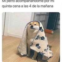 Francisco 
