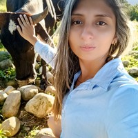 Heidy 