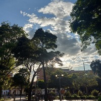 Jisselle