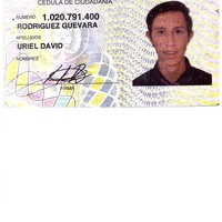 David