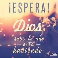 LUZ MERY 1234567890