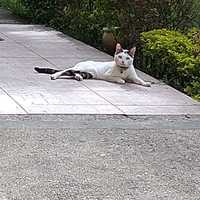 aaaa