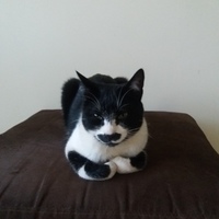 Fernando 