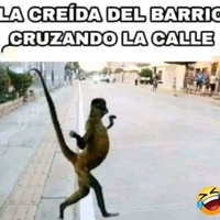 Carlos Alfredo 