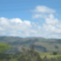 gloria 
