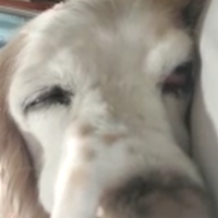 Sandra