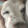 profile_Sandra