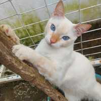 Danna