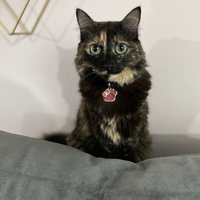 Milena 