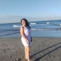 Wendis