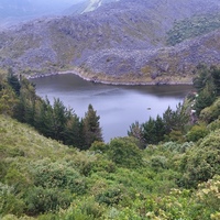 Mónica 