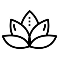 Ely 