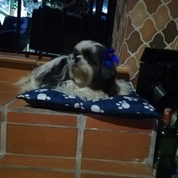 Milena