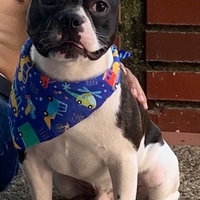 Jhon jairo