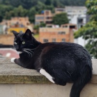 Natalia