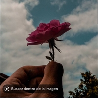Susana