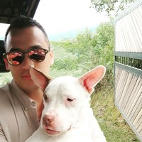 Henry Andres