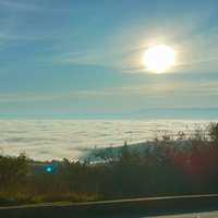 Andres 