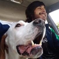 sergio