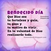 profile_Carolina