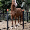 profile_Luis