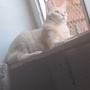 profile_Mateo