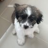 profile_Moises