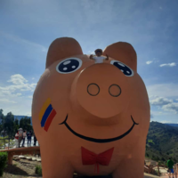 Daver Alberto 