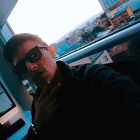 Holmer