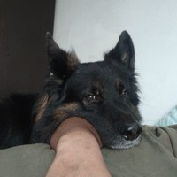 Andrés