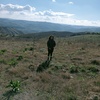 profile_Laura