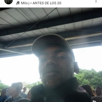 Dalmer Orlando