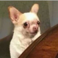 Karen